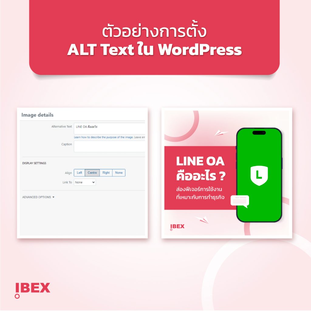 ตัวอย่างการใส่ ALT Text (Alternative Text) ในบทความ