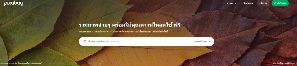 เว็บไซต์ดาวน์โหลดรูปภาพฟรี Pixabay 