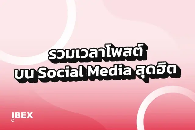 ลงรูปเวลาไหนดีบน Social Media ฉบับ 2024