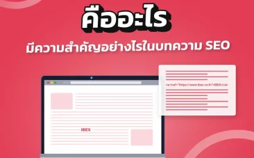 Anchor Text คืออะไร มีความสำคัญอย่างไรในบทความ SEO